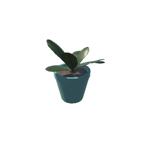 Plant 10